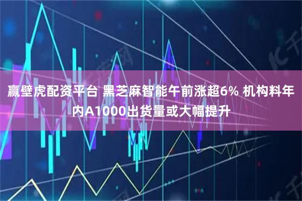 赢壁虎配资平台 黑芝麻智能午前涨超6% 机构料年内A1000出货量或大幅提升
