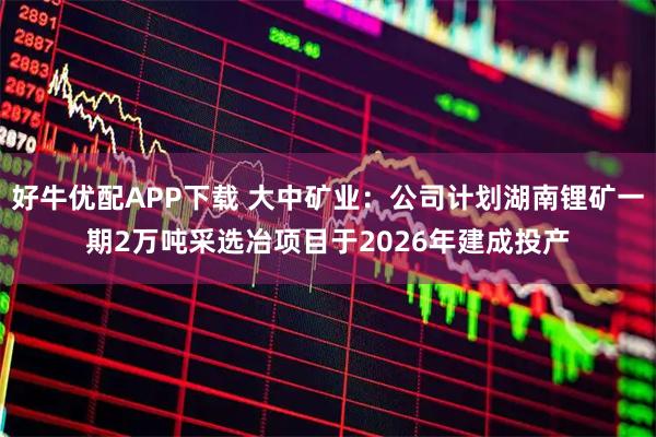 好牛优配APP下载 大中矿业：公司计划湖南锂矿一期2万吨采选冶项目于2026年建成投产